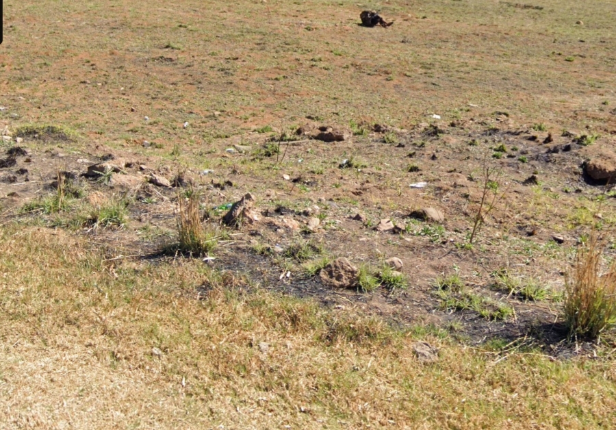 Commercial Property for Sale in Dullstroom Mpumalanga