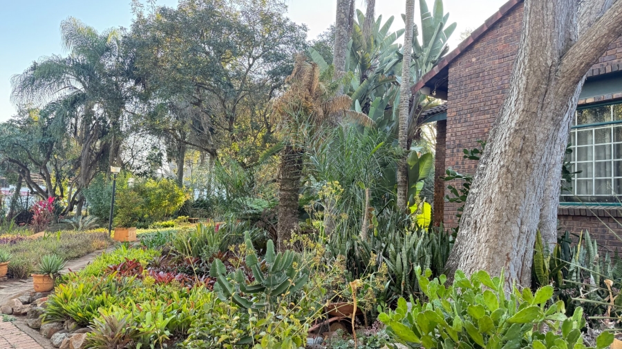 To Let 3 Bedroom Property for Rent in White River AH Mpumalanga