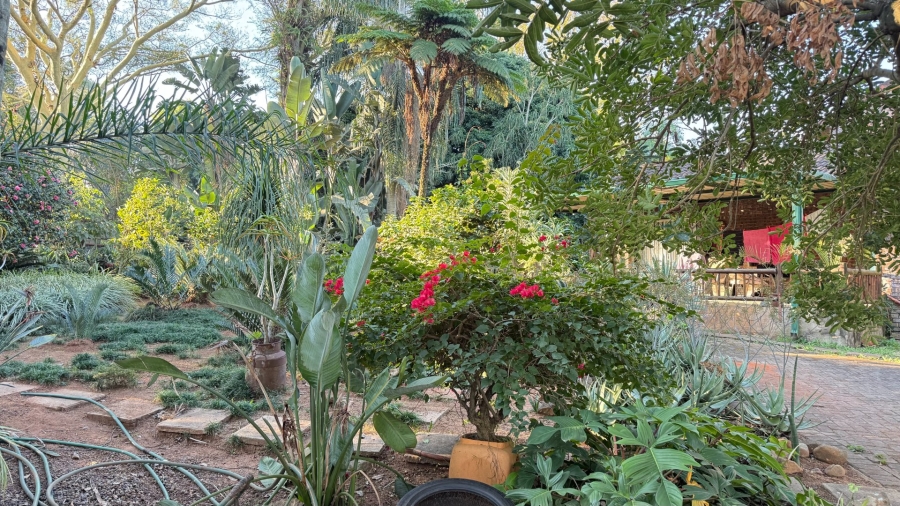 To Let 3 Bedroom Property for Rent in White River AH Mpumalanga