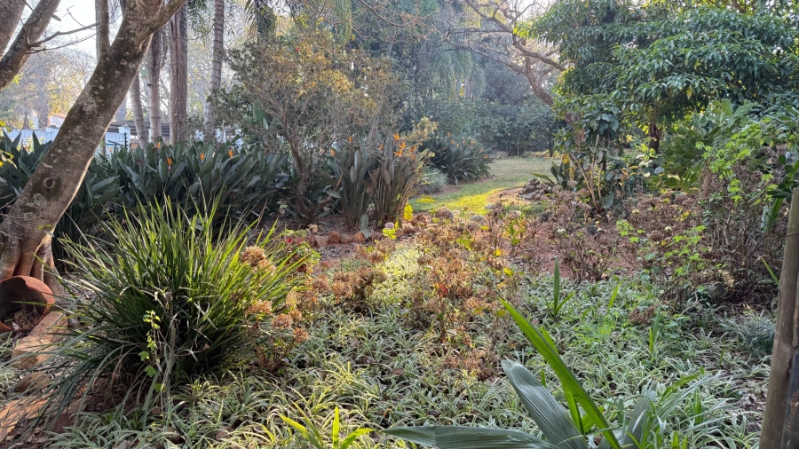 To Let 3 Bedroom Property for Rent in White River AH Mpumalanga