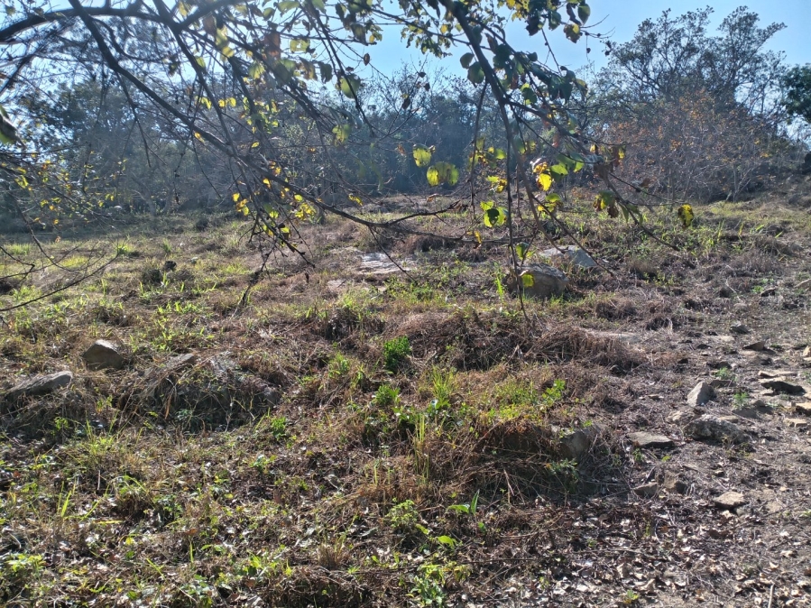 Commercial Property for Sale in Elawini Lifestyle Estate Mpumalanga