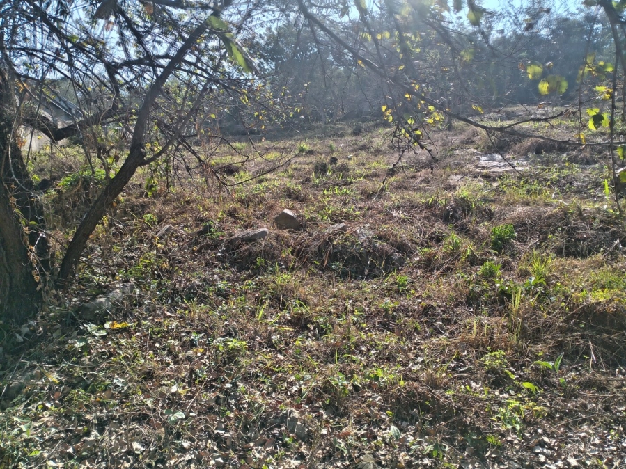 Commercial Property for Sale in Elawini Lifestyle Estate Mpumalanga