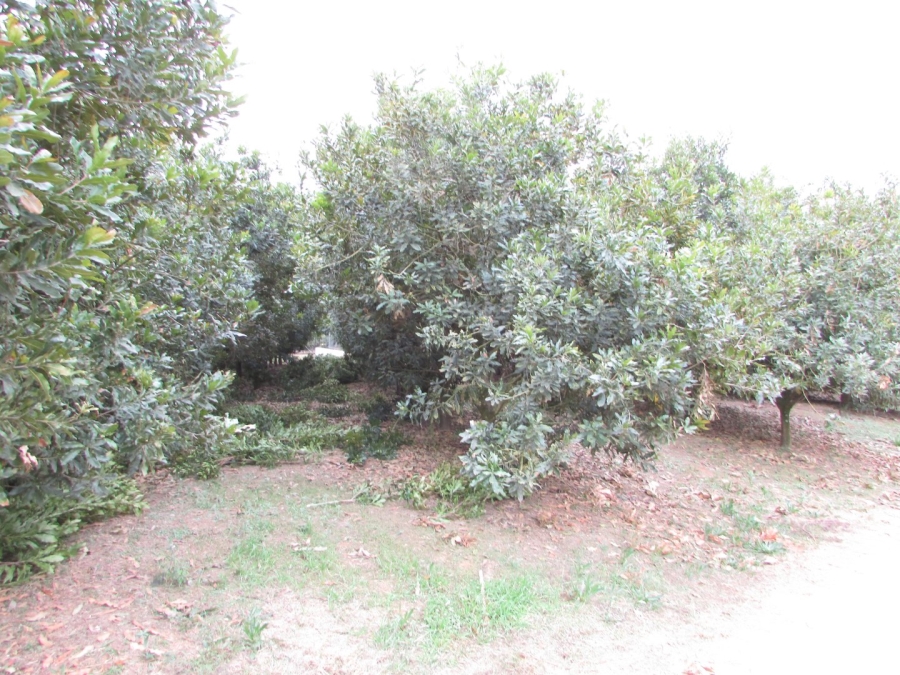  Bedroom Property for Sale in White River AH Mpumalanga