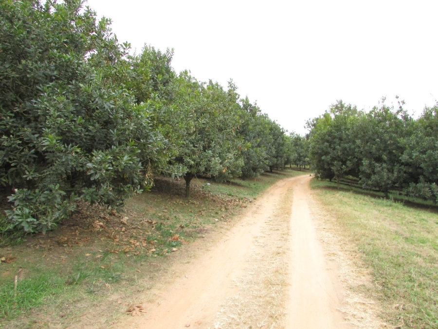  Bedroom Property for Sale in White River AH Mpumalanga