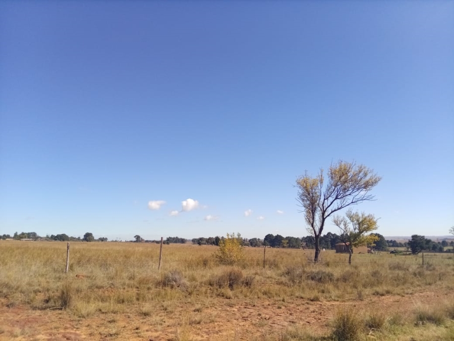 To Let Commercial Property for Rent in Leeuwpoort Mpumalanga