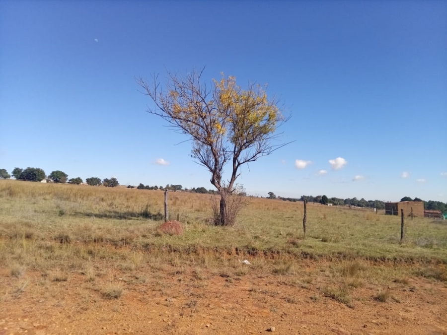 To Let Commercial Property for Rent in Leeuwpoort Mpumalanga