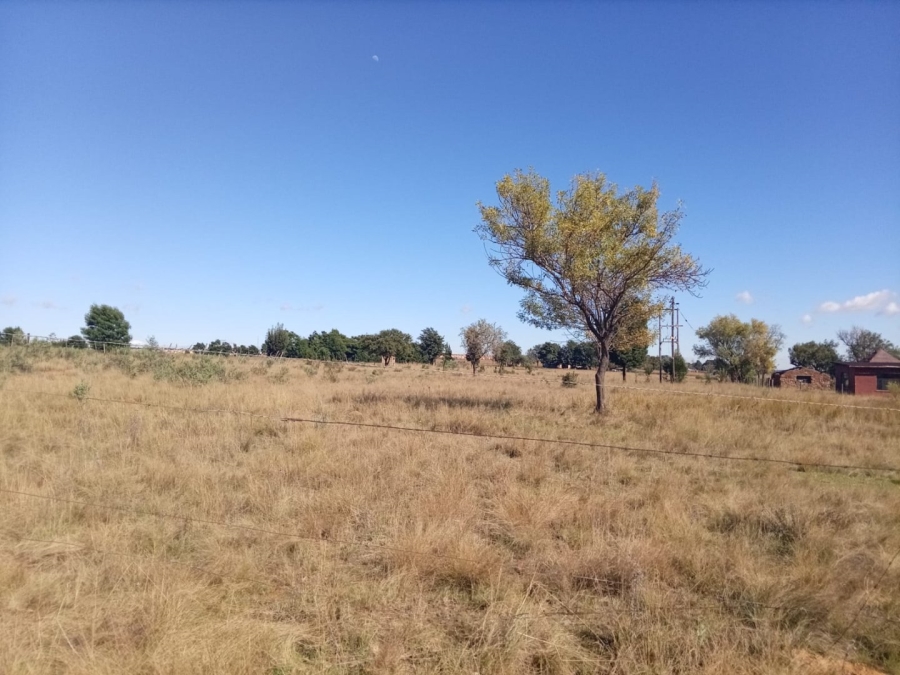 To Let Commercial Property for Rent in Leeuwpoort Mpumalanga