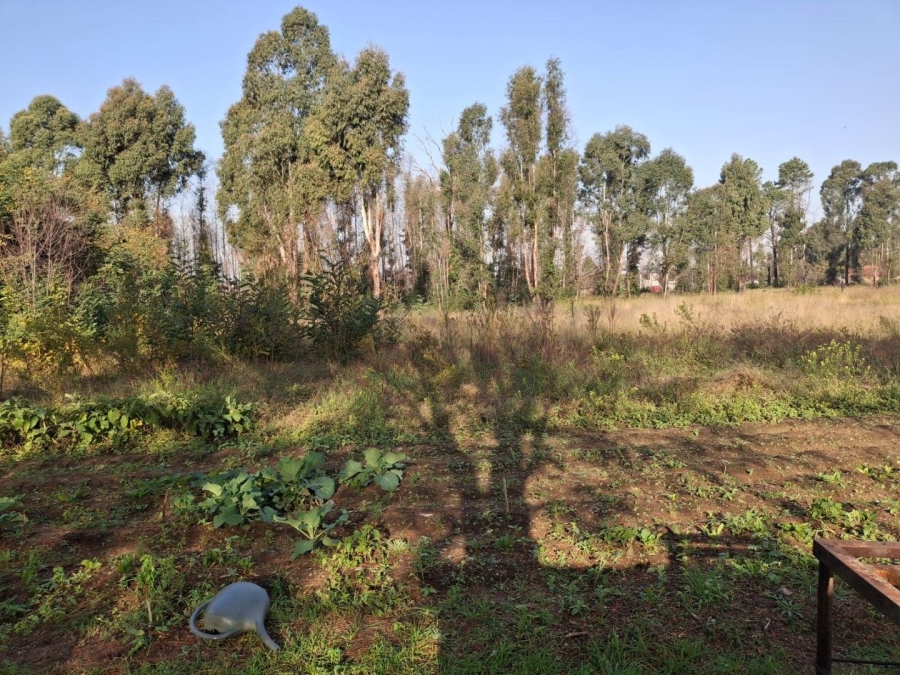 Commercial Property for Sale in Naaupoort Mpumalanga