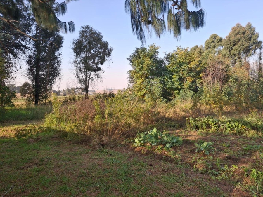 Commercial Property for Sale in Naaupoort Mpumalanga