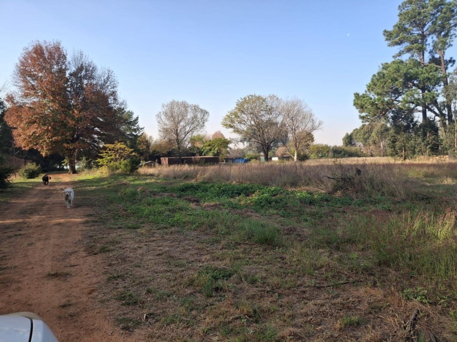 Commercial Property for Sale in Naaupoort Mpumalanga