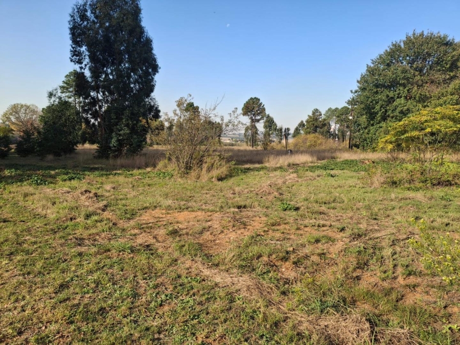 Commercial Property for Sale in Naaupoort Mpumalanga