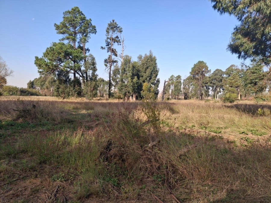 Commercial Property for Sale in Naaupoort Mpumalanga