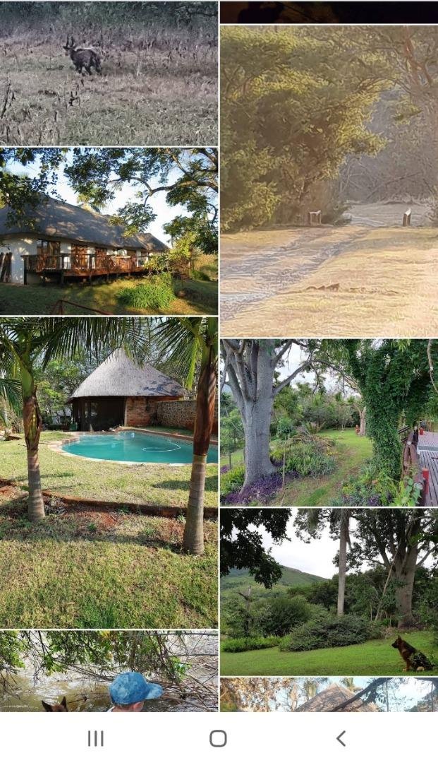 Commercial Property for Sale in Nelspruit Rural Mpumalanga