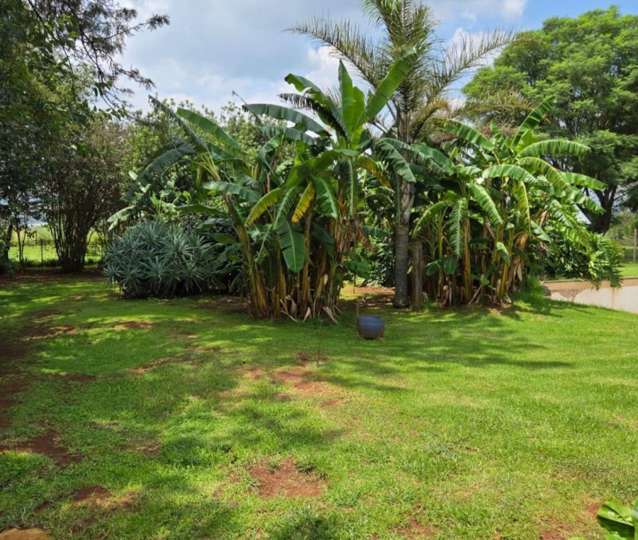Commercial Property for Sale in Stoffberg Mpumalanga