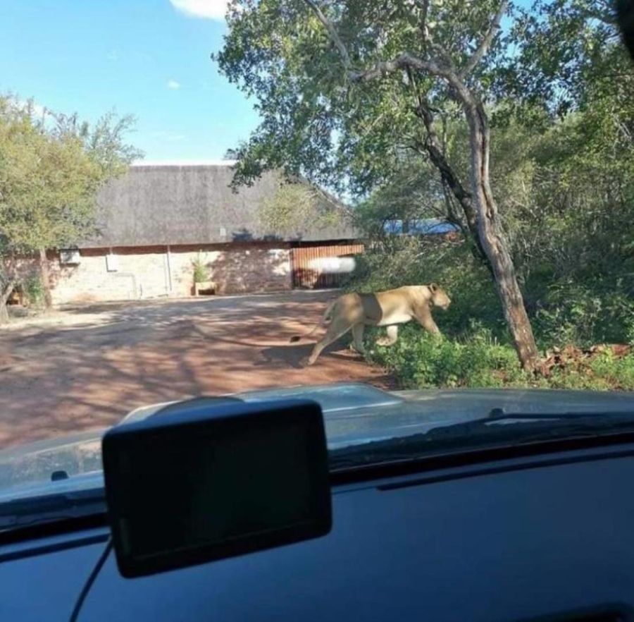 5 Bedroom Property for Sale in Marloth Park Mpumalanga