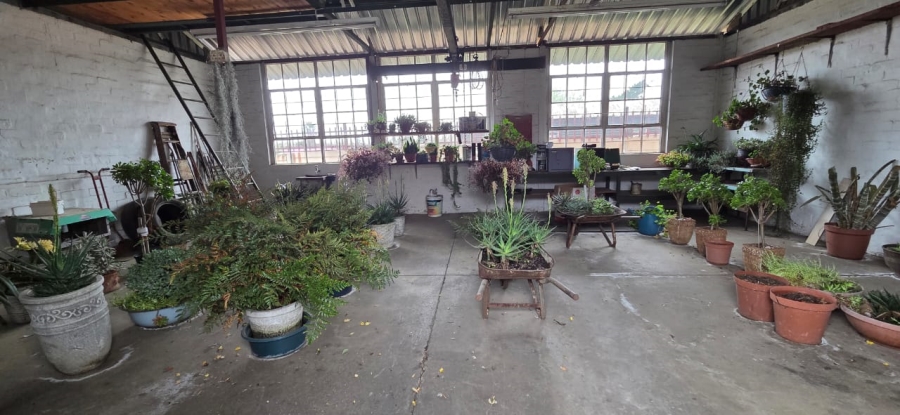 4 Bedroom Property for Sale in Meyerville Mpumalanga