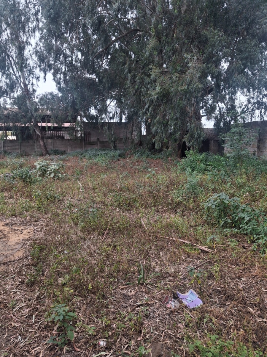 Commercial Property for Sale in Eloff A H Mpumalanga
