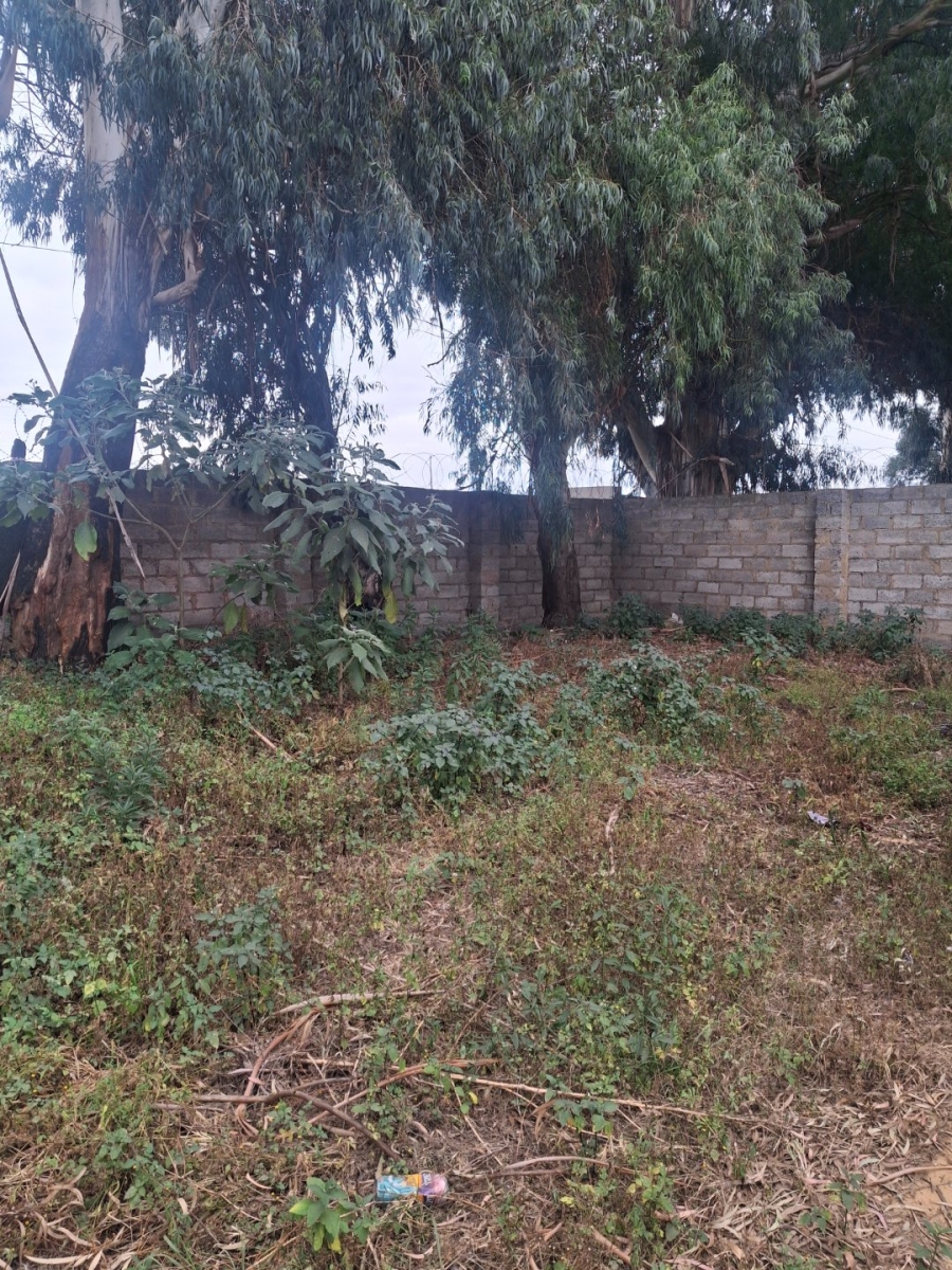 Commercial Property for Sale in Eloff A H Mpumalanga