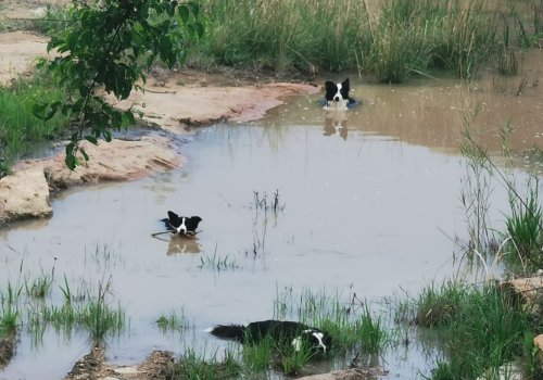 Commercial Property for Sale in Nelspruit Rural Mpumalanga