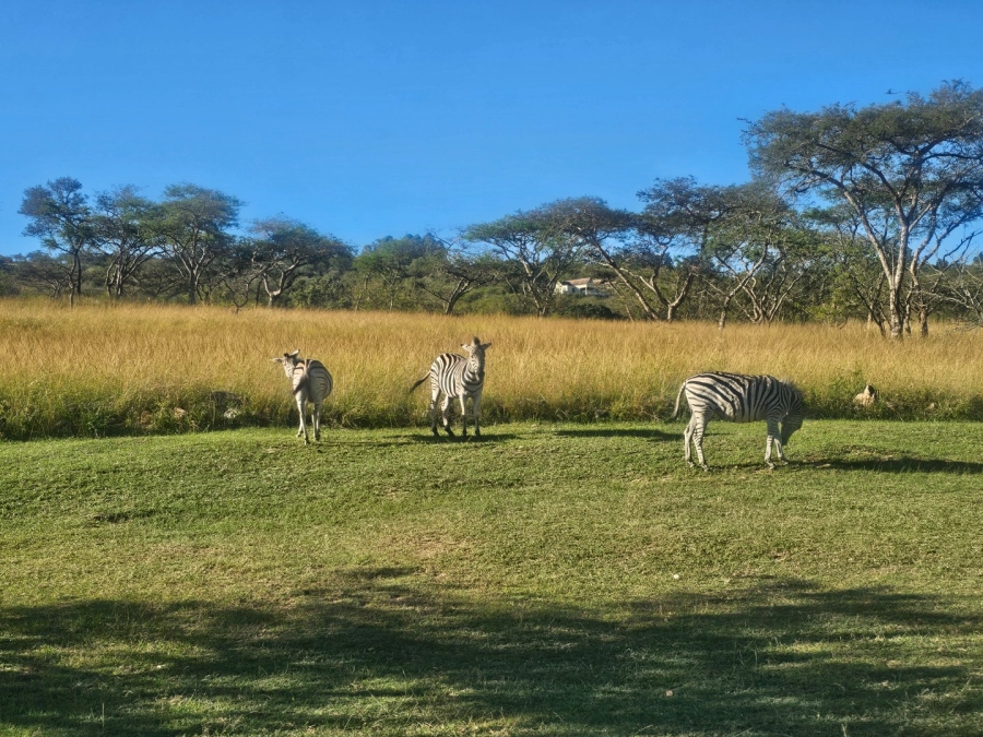 5 Bedroom Property for Sale in Wild Fig Country Estate Mpumalanga