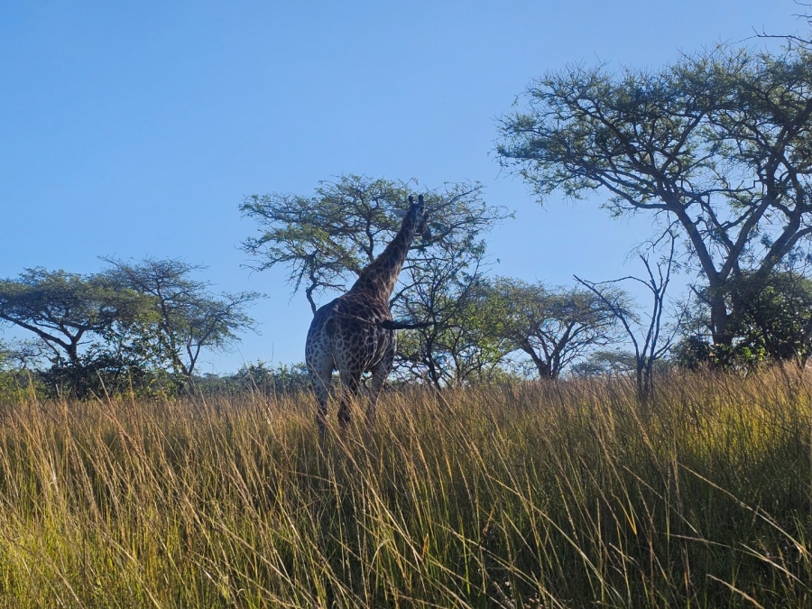 5 Bedroom Property for Sale in Wild Fig Country Estate Mpumalanga