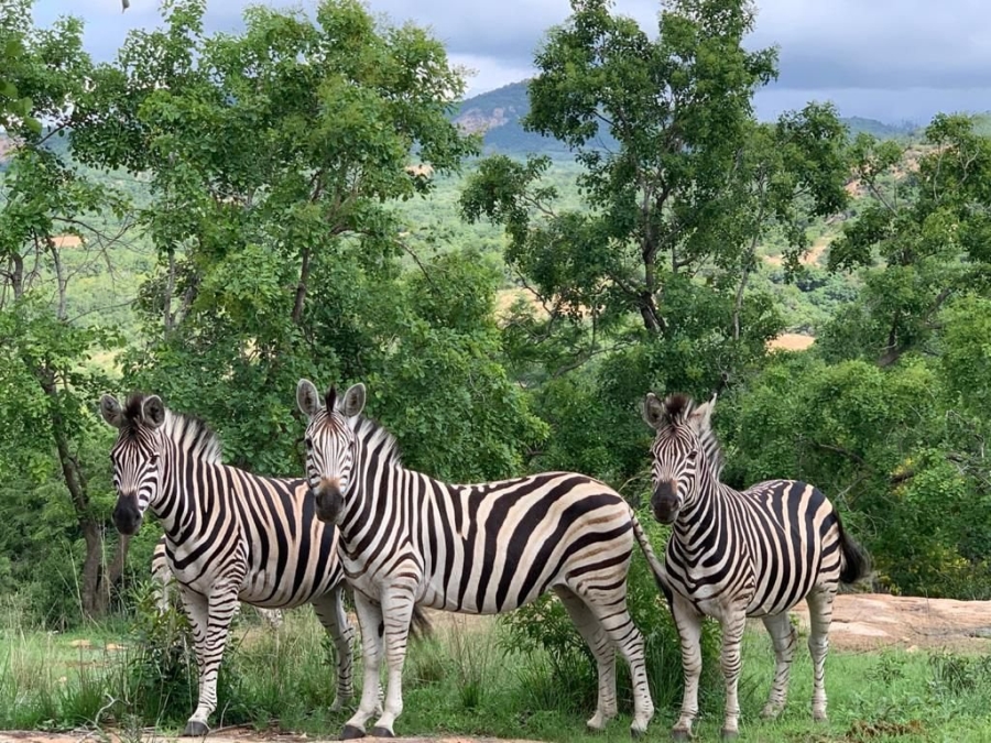5 Bedroom Property for Sale in Wild Fig Country Estate Mpumalanga