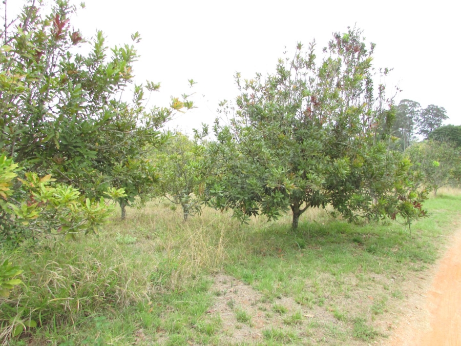 Commercial Property for Sale in White River Estates Mpumalanga