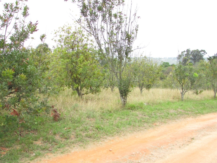 Commercial Property for Sale in White River Estates Mpumalanga