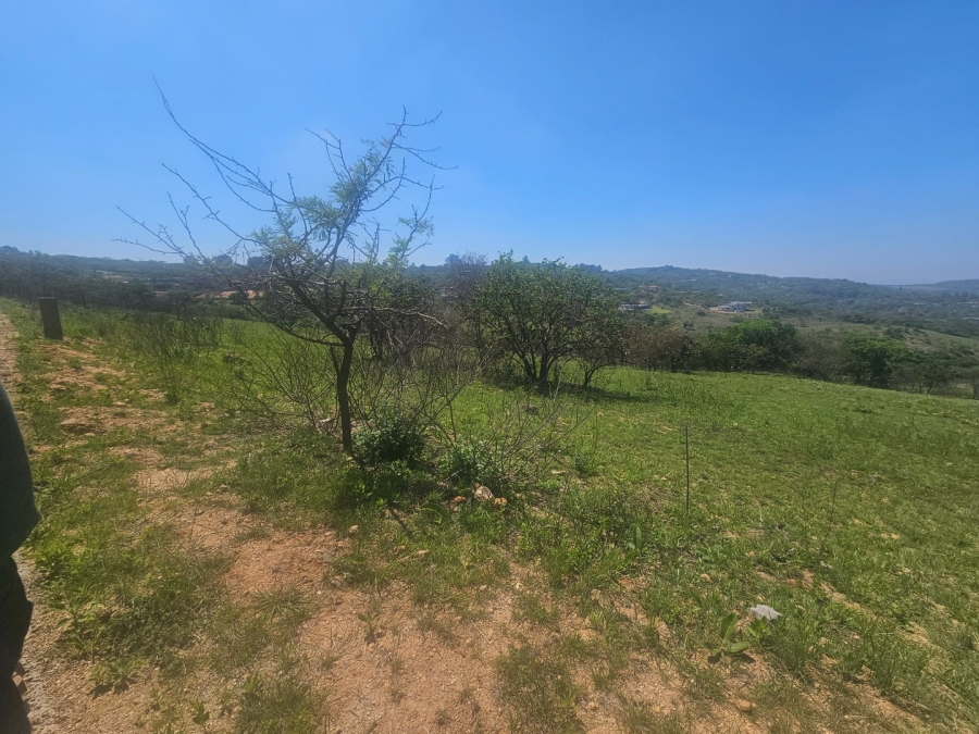 Commercial Property for Sale in Wild Fig Country Estate Mpumalanga