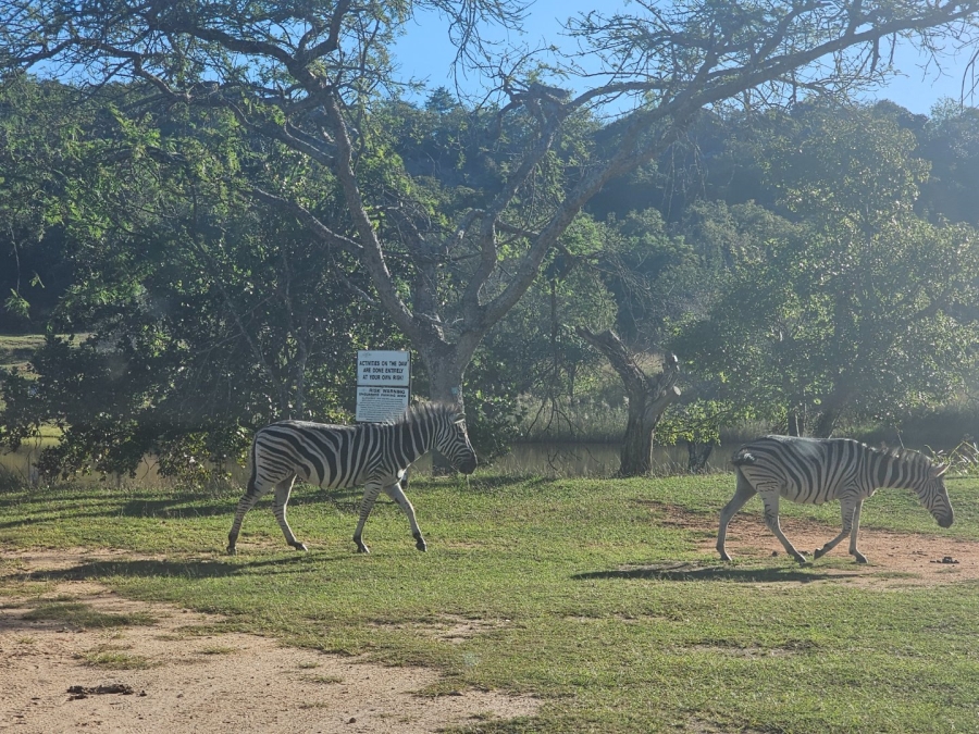 Commercial Property for Sale in Wild Fig Country Estate Mpumalanga