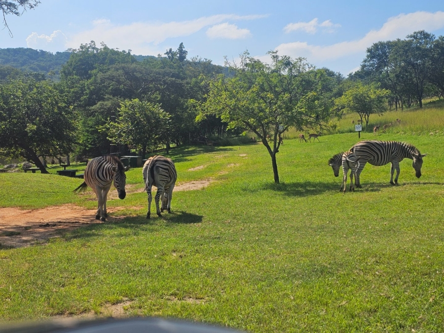 Commercial Property for Sale in Wild Fig Country Estate Mpumalanga