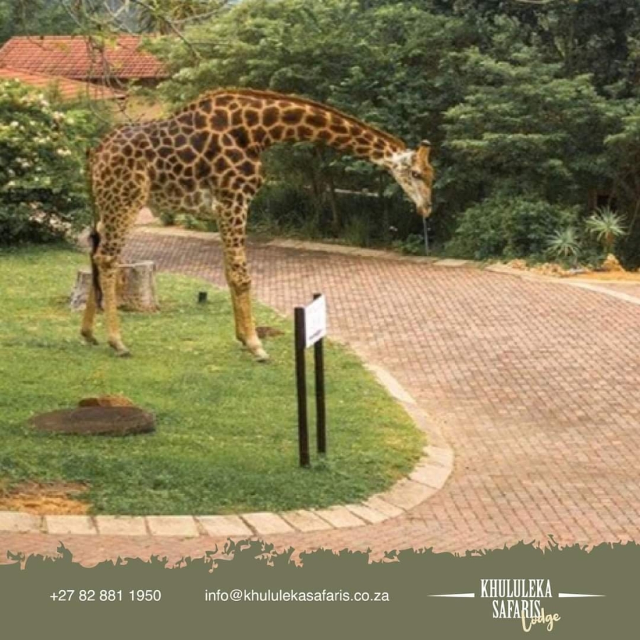 Commercial Property for Sale in Wild Fig Country Estate Mpumalanga