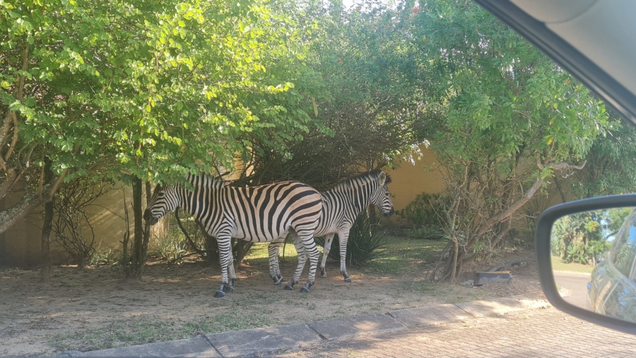 Commercial Property for Sale in Wild Fig Country Estate Mpumalanga