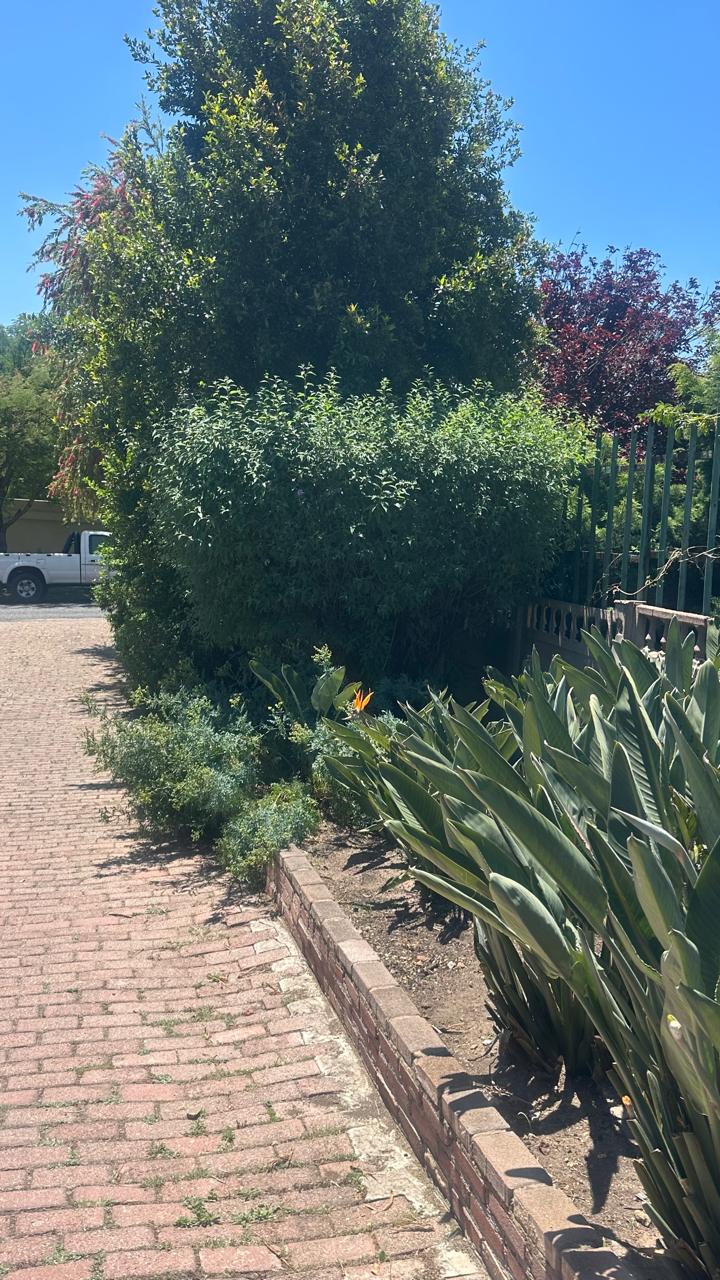 6 Bedroom Property for Sale in Reyno Ridge Mpumalanga