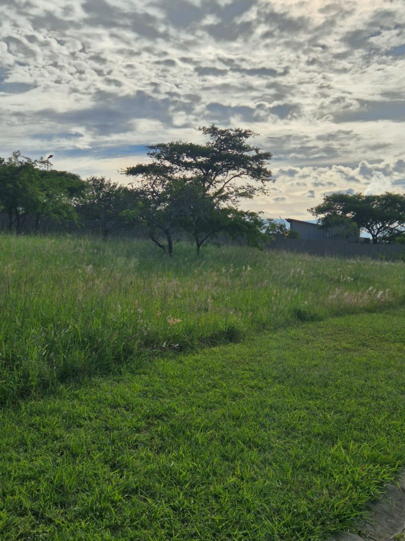 Commercial Property for Sale in The Rest Nature Estate Mpumalanga