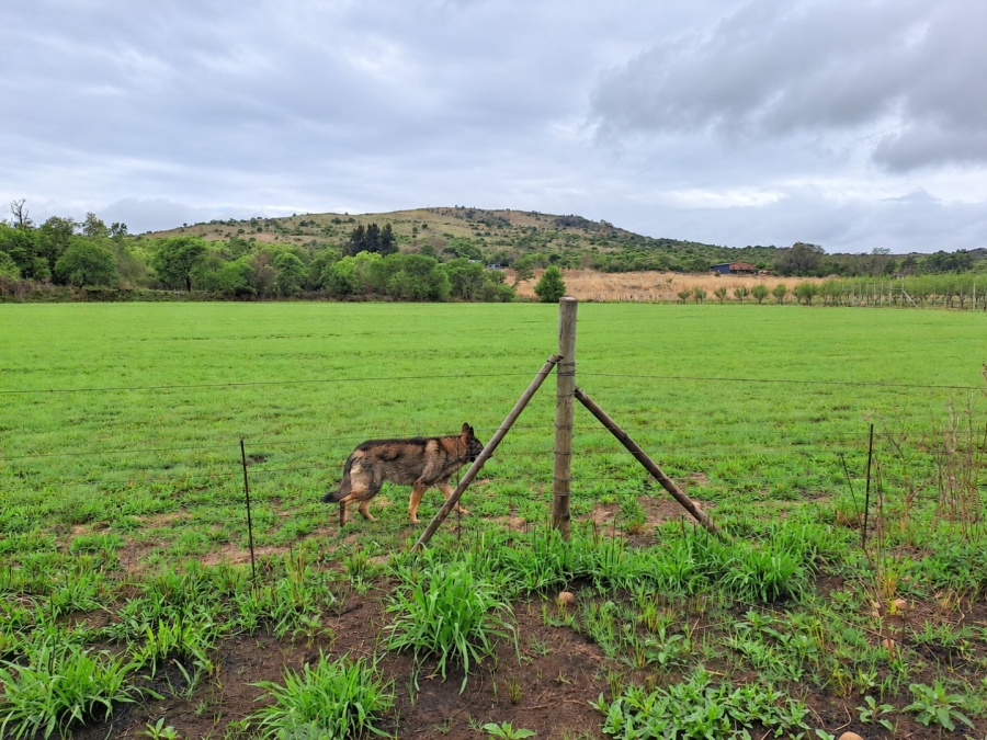Commercial Property for Sale in Lydenburg Mpumalanga