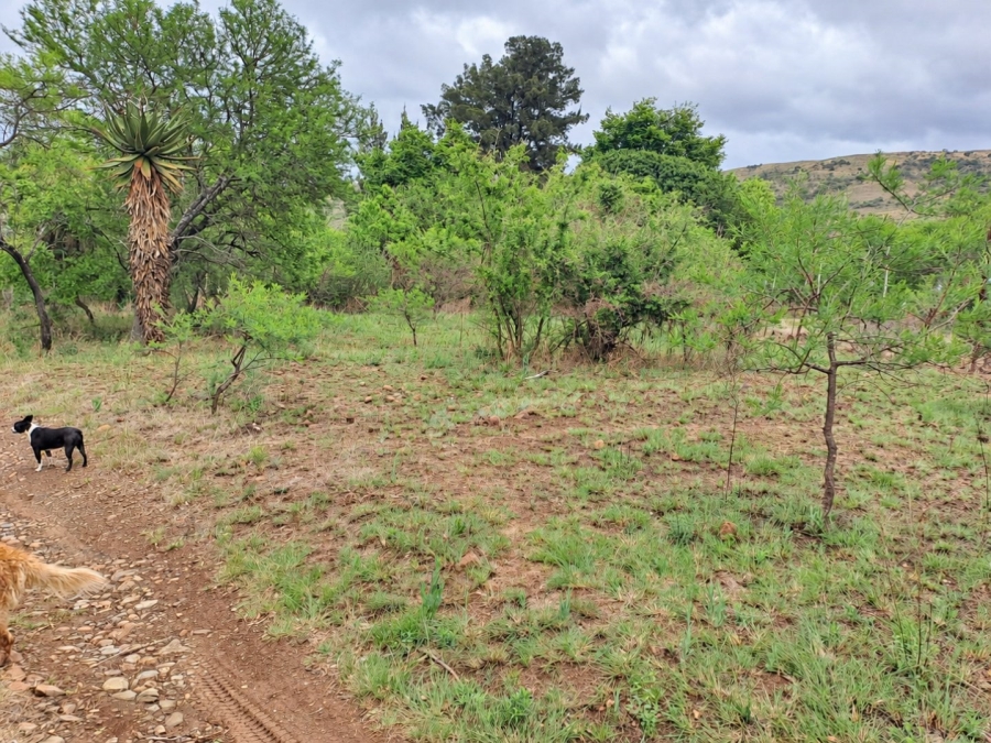 Commercial Property for Sale in Lydenburg Mpumalanga