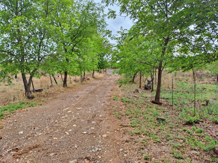 Commercial Property for Sale in Lydenburg Mpumalanga