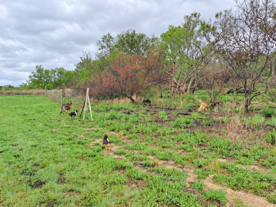 Commercial Property for Sale in Lydenburg Mpumalanga