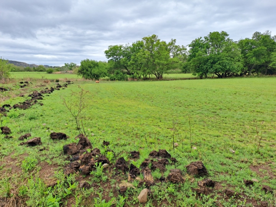 Commercial Property for Sale in Lydenburg Mpumalanga