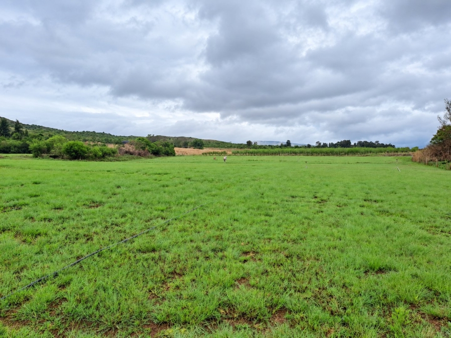 Commercial Property for Sale in Lydenburg Mpumalanga