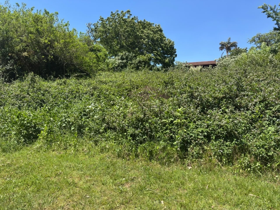 Commercial Property for Sale in Graskop Mpumalanga