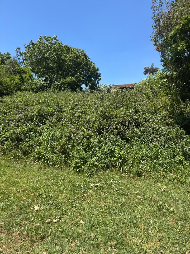 Commercial Property for Sale in Graskop Mpumalanga