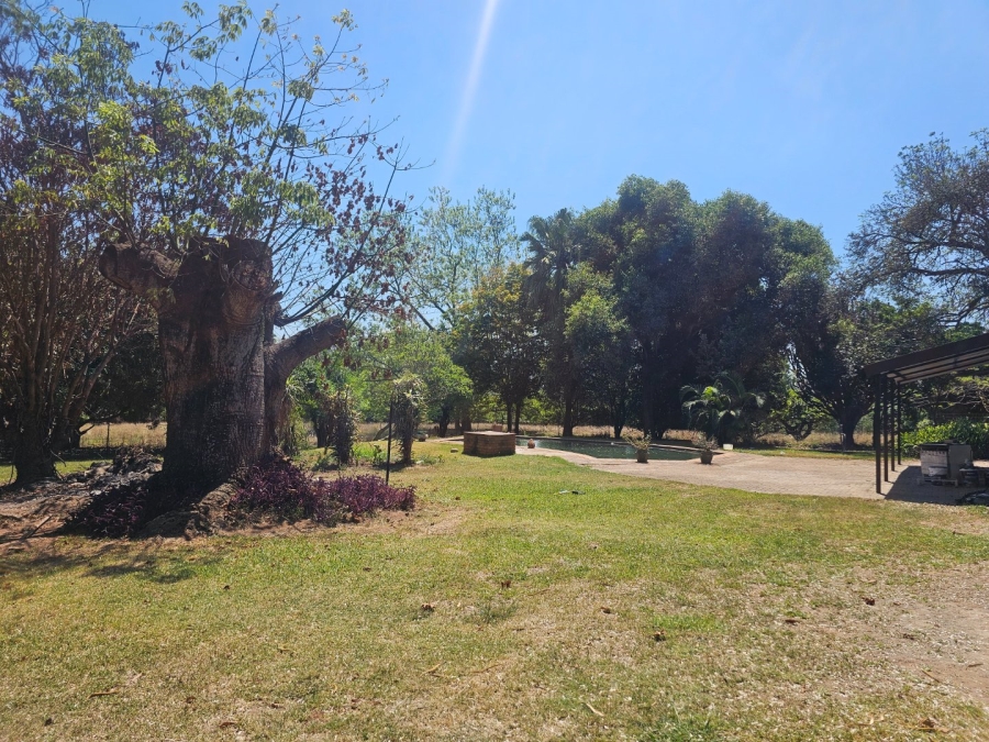 To Let  Bedroom Property for Rent in White River Rural Mpumalanga