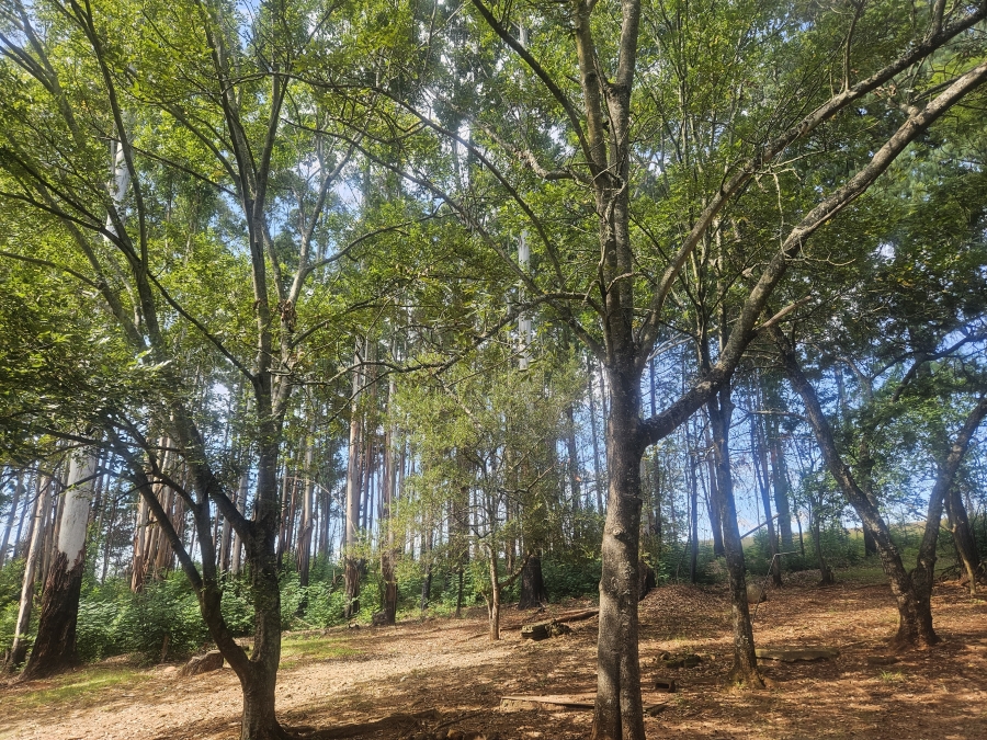 4 Bedroom Property for Sale in Badplaas Mpumalanga