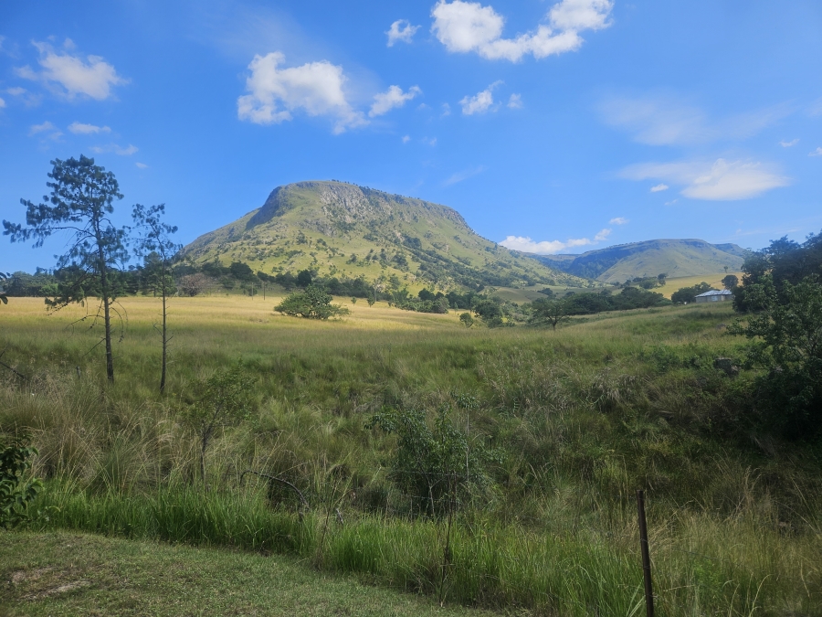 4 Bedroom Property for Sale in Badplaas Mpumalanga