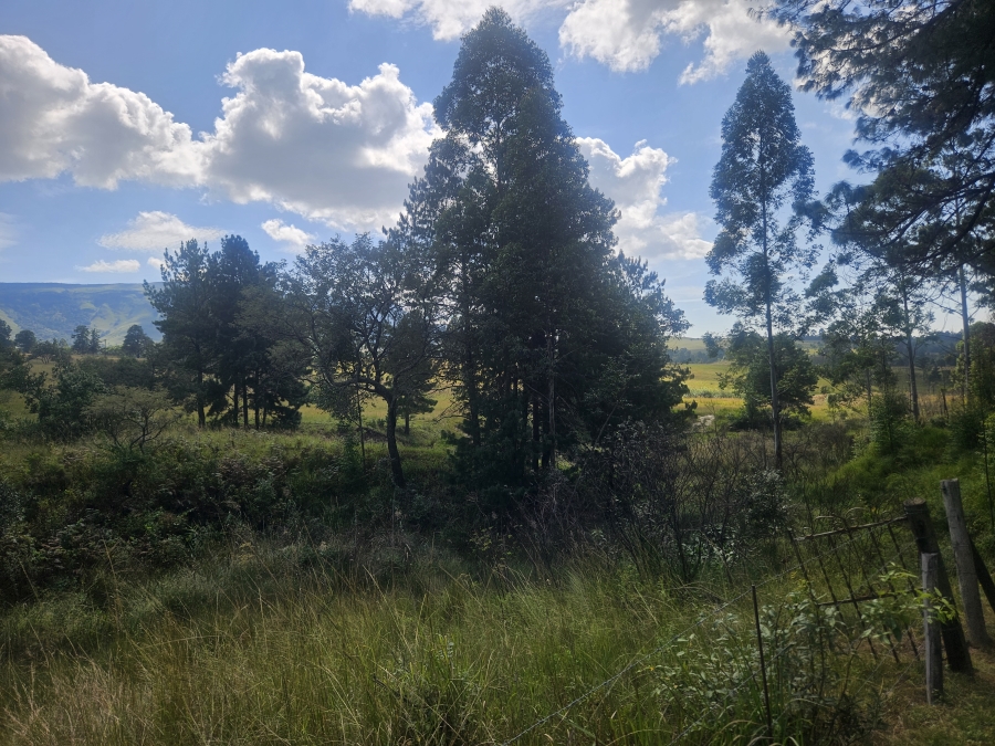 4 Bedroom Property for Sale in Badplaas Mpumalanga