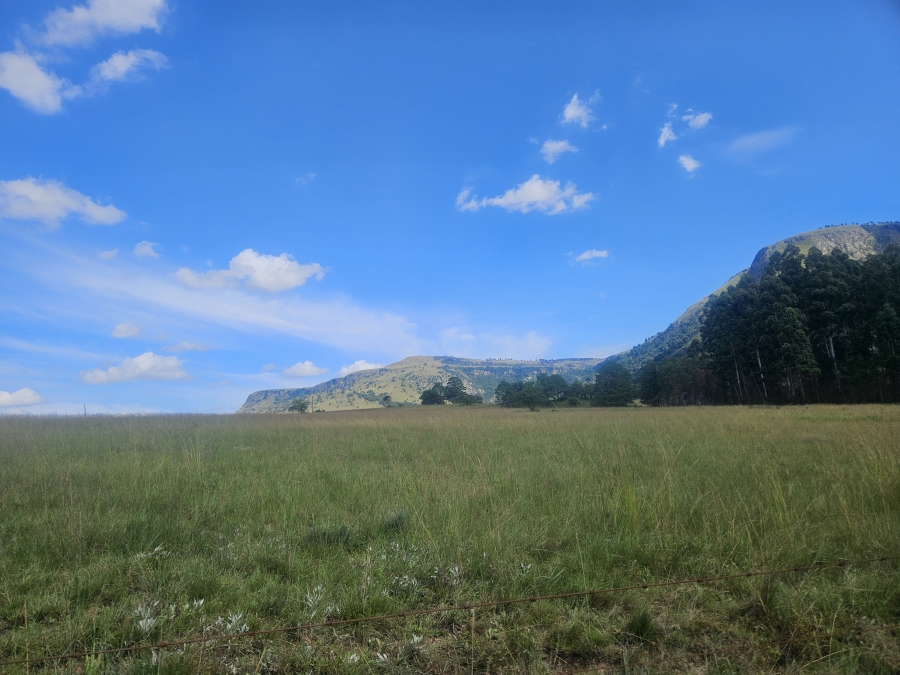 4 Bedroom Property for Sale in Badplaas Mpumalanga