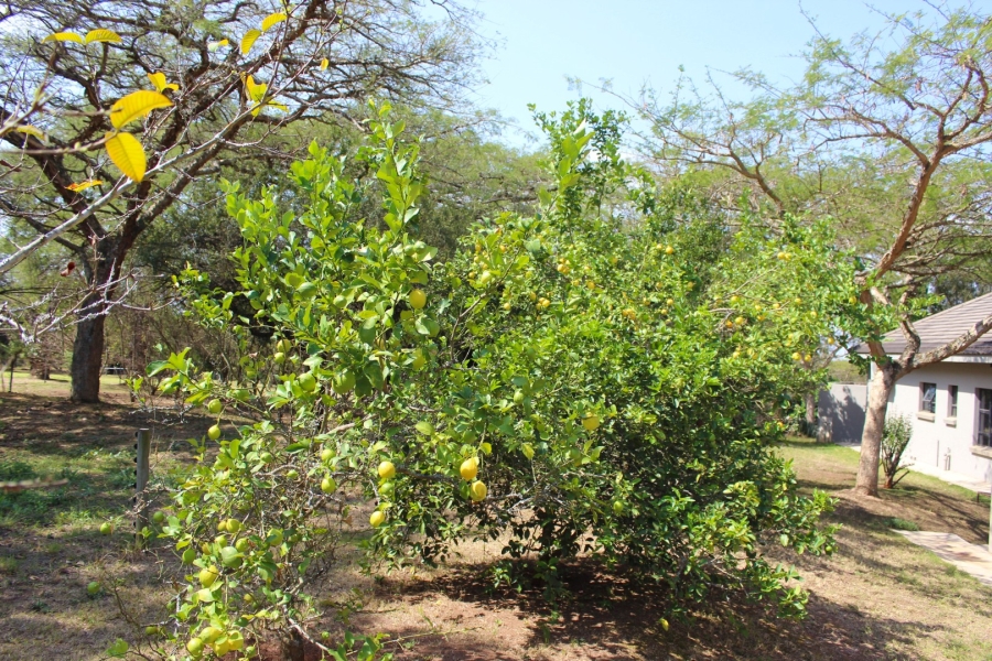 4 Bedroom Property for Sale in The Edge Mpumalanga