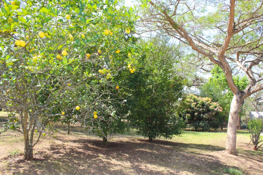 4 Bedroom Property for Sale in The Edge Mpumalanga